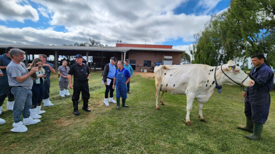 Equipe técnica da APCBRH participa do Curso de Atualização de Classificadores